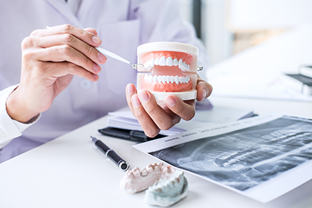 A person holding a tooth model with an open mouth, sitting at a table surrounded by dental equipment, while another person observes, suggesting a dental examination or consultation scenario.