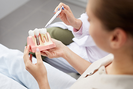 A woman holding a model of a tooth with a dental tool, possibly in a dental office setting.